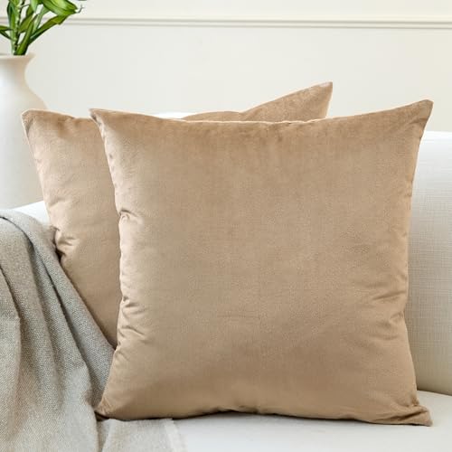 Encasa XO Kissenbezüge aus Samt - 2er-Set (30x30 cm) - Beige- Uni gefärbt, weich & glatt, waschbar, quadratisch, großer Wurfkissenbezug für Couch, Sofa, Stuhl, Bett und Wohnbereich von Encasa XO