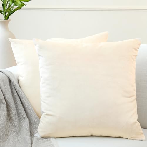 Encasa XO Kissenbezüge aus Samt - 2er-Set (30x30 cm) - Creme- Uni gefärbt, weich & glatt, waschbar, quadratisch, großer Wurfkissenbezug für Couch, Sofa, Stuhl, Bett und Wohnbereich von Encasa XO