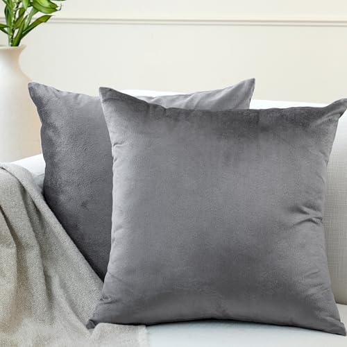 Encasa XO Kissenbezüge aus Samt - 2er-Set (40x40 cm) - Grey- Uni gefärbt, weich & glatt, waschbar, quadratisch, großer Wurfkissenbezug für Couch, Sofa, Stuhl, Bett und Wohnbereich von Encasa XO
