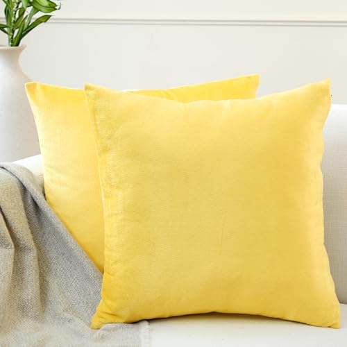 Encasa XO Kissenbezüge aus Samt - 2er-Set (40x40 cm) - Lemon Yellow- Uni gefärbt, weich & glatt, waschbar, quadratisch, großer Wurfkissenbezug für Couch, Sofa, Stuhl, Bett und Wohnbereich von Encasa XO