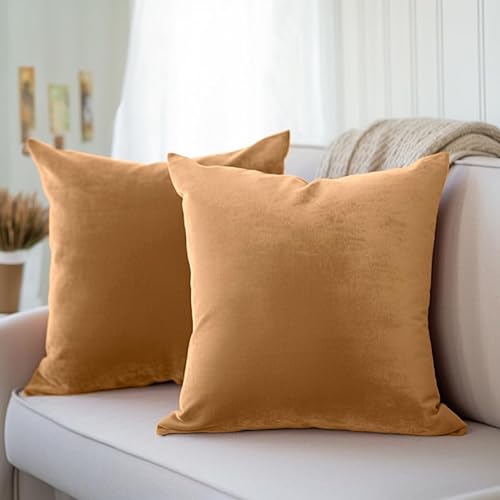 Encasa Homes Kissenbezüge aus Samt - 2er-Set (45x45 cm) - Gold- Uni gefärbt, weich & glatt, waschbar, quadratisch, großer Wurfkissenbezug für Couch, Sofa, Stuhl, Bett und Wohnbereich von Encasa