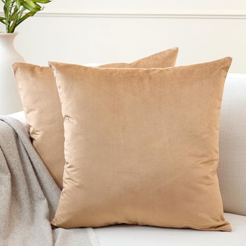 Encasa Homes Kissenbezüge aus Samt - 2er-Set (50x50 cm) - Gold- Uni gefärbt, weich & glatt, waschbar, quadratisch, großer Wurfkissenbezug für Couch, Sofa, Stuhl, Bett und Wohnbereich von Encasa XO