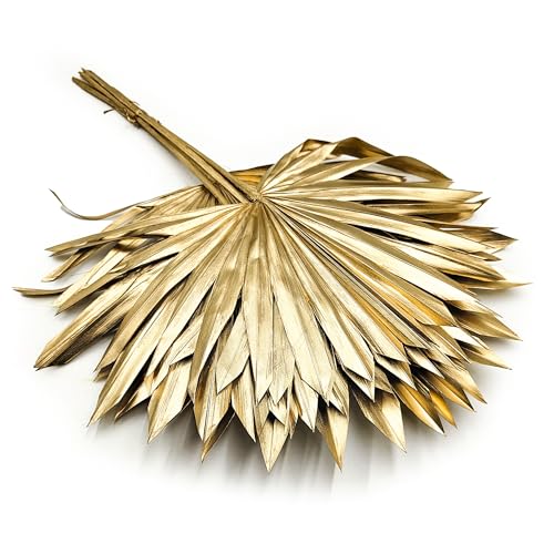 Enchanted Dekogras Getrocknete Blätter - Palme Palm Sun - Dekogras Ziergras - Gold Enchanted Dekogras Getrocknete Blätter - Palme Palm Sun - Dekogras Ziergras - Gold von Enchanted