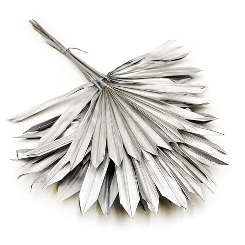 Enchanted Dekogras Getrocknete Blätter - Palme Palm Sun - Dekogras Ziergras - Silber Enchanted Dekogras Getrocknete Blätter - Palme Palm Sun - Dekogras Ziergras - Silber von Enchanted
