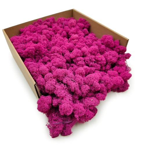 Enchanted Moos Konserviertes Rentiermoos Stabilisiert Deko Moos Zum Basteln DIY Für Mosbilder Floristik Natur Finnisch Fuchsie 500 g von Enchanted