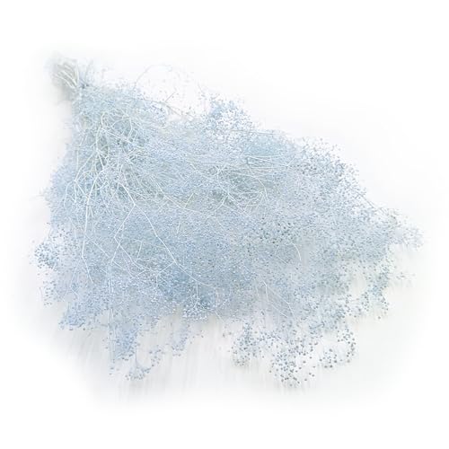 Enchanted Trockenblumen Getrocknete Blüten - Stabilisiertes Schleierkraut Gypsophila Mini - Dekogras Ziergras - Blau Enchanted Trockenblumen Getrocknete Blüten - Stabilisiertes Schleierkraut Gypsophila Mini - Dekogras Ziergras - Blau von Enchanted