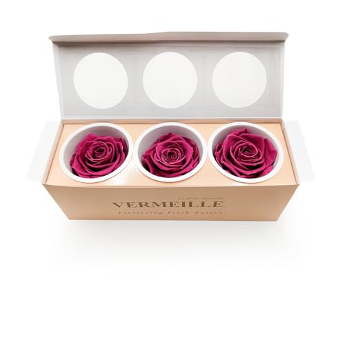 Enchanted Trockenblumen Stabilisierte Rose 3 Stück Getrocknete Blumen in der Box Deko XL Bordeaux Enchanted Trockenblumen Stabilisierte Rose 3 Stück Getrocknete Blumen in der Box Deko XL Bordeaux von Enchanted