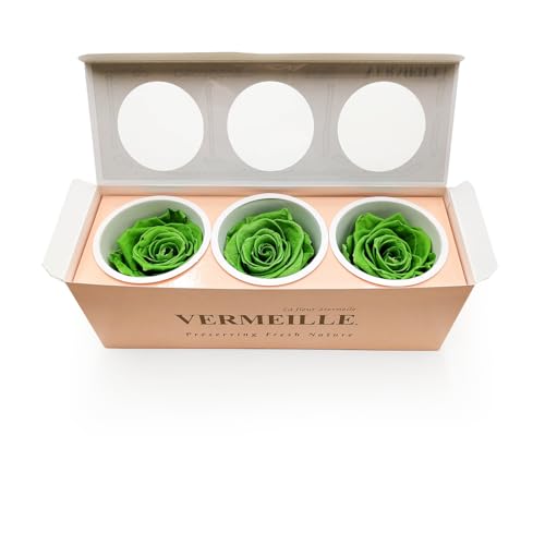Enchanted Trockenblumen Stabilisierte Rose 3 Stück Getrocknete Blumen in der Box Deko XL Grün Enchanted Trockenblumen Stabilisierte Rose 3 Stück Getrocknete Blumen in der Box Deko XL Grün von Enchanted
