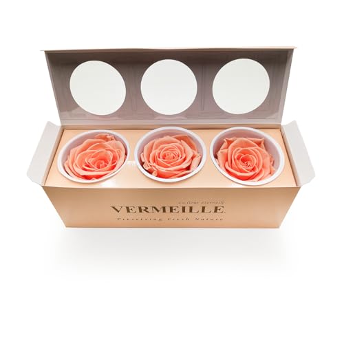 Enchanted Trockenblumen Stabilisierte Rose 3 Stück Getrocknete Blumen in der Box Deko XL Pfirsichfarben Enchanted Trockenblumen Stabilisierte Rose 3 Stück Getrocknete Blumen in der Box Deko XL Pfirsichfarben von Enchanted