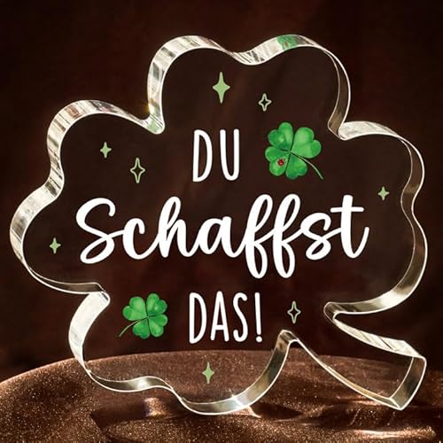 Du Schaffst Das Geschenk, Glücksbringer Deko, 10.43cm Acryl Mutmacher Geschenk Bei Krankheit und Prüfung, Motivationsgeschenke für Familie Freunde Kollege von Encoink