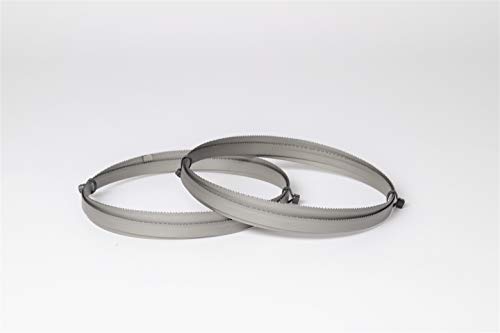 2er SET Bandsägeblatt ENCUT Bi-Metall M42 Abmessung 1638 x 13 x 0,65mm, 10-14 ZpZ Sägeband z.B. für Optimum, Epple, Holzmann, Bernardo 2er SET Bandsägeblatt ENCUT Bi-Metall M42 Abmessung 1638 x 13 x 0,65mm, 10-14 ZpZ Sägeband z.B. für Optimum, Epple, Holzmann, Bernardo von Encut