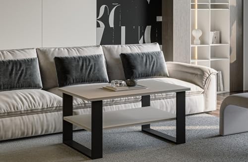 Endo-Moebel Couchtisch Inga 110x65 cm – Robuster Beistelltisch mit Ablagefach und stabilen Metallkufen (Kaschmir) von Endo-Moebel