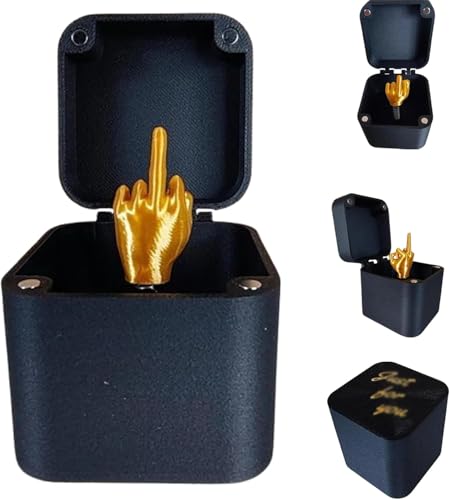 Endyniner Mittelfinger in einer Box, lustige Mittelfinger überraschende Geschenkbox, Spoofhand Geste Gag Geschenk mit Box von Endyniner