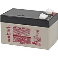 EnerSys Hawker Genesis NP1.2-12 Bleiakku 12V 1.2Ah Blei-Vlies (AGM) (B x H x T) 97 x 56 x 48mm Flach von EnerSys