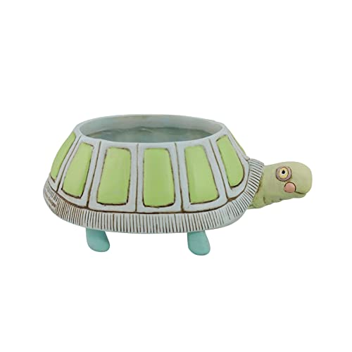 Allen Designs Myrtle Turtle Planter von Enesco