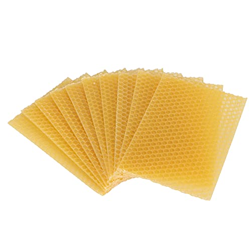 Enforose Beehive Wax Coated Foundation Sheet, 10 Stück Imkerei-Bienenwachs-Foundation Beehive Wax Frame Imkereiausrüstungszubehör von Enforose