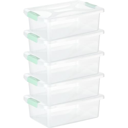 Engelland - 5 x Aufbewahrungsbox mit Deckel und Verschluss-Clips, mint-transparent, 10 Liter, Plastik-Box, stapelbar, stabil, BPA-frei, lebensmittelecht von Engelland