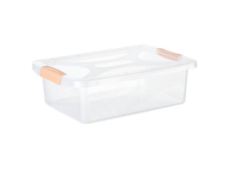 Engelland Aufbewahrungsbox Plastikbox mit Deckel und Verschluss-Clips (Stapelbox, Aufbewahrungskiste, Organizer), stapelbar, stabil, BPA-frei, lebensmittelecht von Engelland