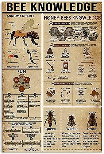 Metall-Blechschild im Retro-/Vintage-Stil, Bienenwissen, Anatomie einer Biene, Honig, Poster für Zuhause, Garten, Küche, Bar, Café, Restaurant, Garage, Wanddekoration, 40,6 x 30,5 cm Metall-Blechschild im Retro-/Vintage-Stil, Bienenwissen, Anatomie einer Biene, Honig, Poster für Zuhause, Garten, Küche, Bar, Café, Restaurant, Garage, Wanddekoration, 40,6 x 30,5 cm von EnggResd