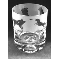 Bordüre Collie Glas | 30Cl Glas Whiskybecher Mit Border Collie Frieze Design von EngravedGlassDirect