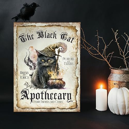 Metall Blechschilder - Schwarze Katze Apotheker Druck - Halloween Schild - 20x30 cm Plakette von Ensound