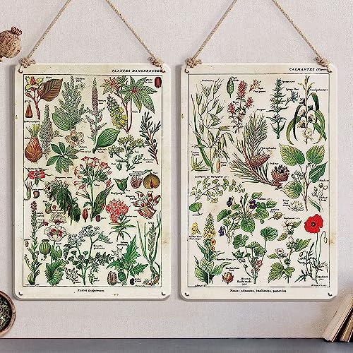 Vintage Botanical Prints Pflanze Wandkunst Pflanze Poster Cottage Core Room Decor Ästhetische Botanische Wandkunst Wildblume Dekor, Boho Decor Vintage Wanddekoration 30 x 20 cm Retro Blechschilder, 2 Vintage Botanical Prints Pflanze Wandkunst Pflanze Poster Cottage Core Room Decor Ästhetische Botanische Wandkunst Wildblume Dekor, Boho Decor Vintage Wanddekoration 30 x 20 cm Retro Blechschilder, 2 von Ensound