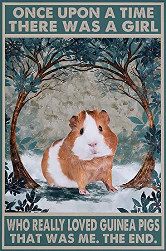 Vintage Metall Blechschild, A Girl Who Really Loves Guinea Pig Poster, Once Upon A Time, Cute Guinea, Neuheit Schild Vintage Metall Blechschild Wandschild Plakat 30x20cm von Ensound