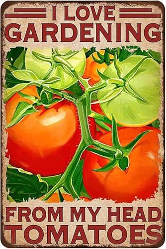 Vintage Tomaten Garten I Vintage Metall Blechschilder Retro Garage Schilder für Männer Wanddekorationen Altes Auto Shop Poster Öl- und Tankstelle Schild Man Cave Decor 20 x 30 cm Vintage Tomaten Garten I Vintage Metall Blechschilder Retro Garage Schilder für Männer Wanddekorationen Altes Auto Shop Poster Öl- und Tankstelle Schild Man Cave Decor 20 x 30 cm von Ensound