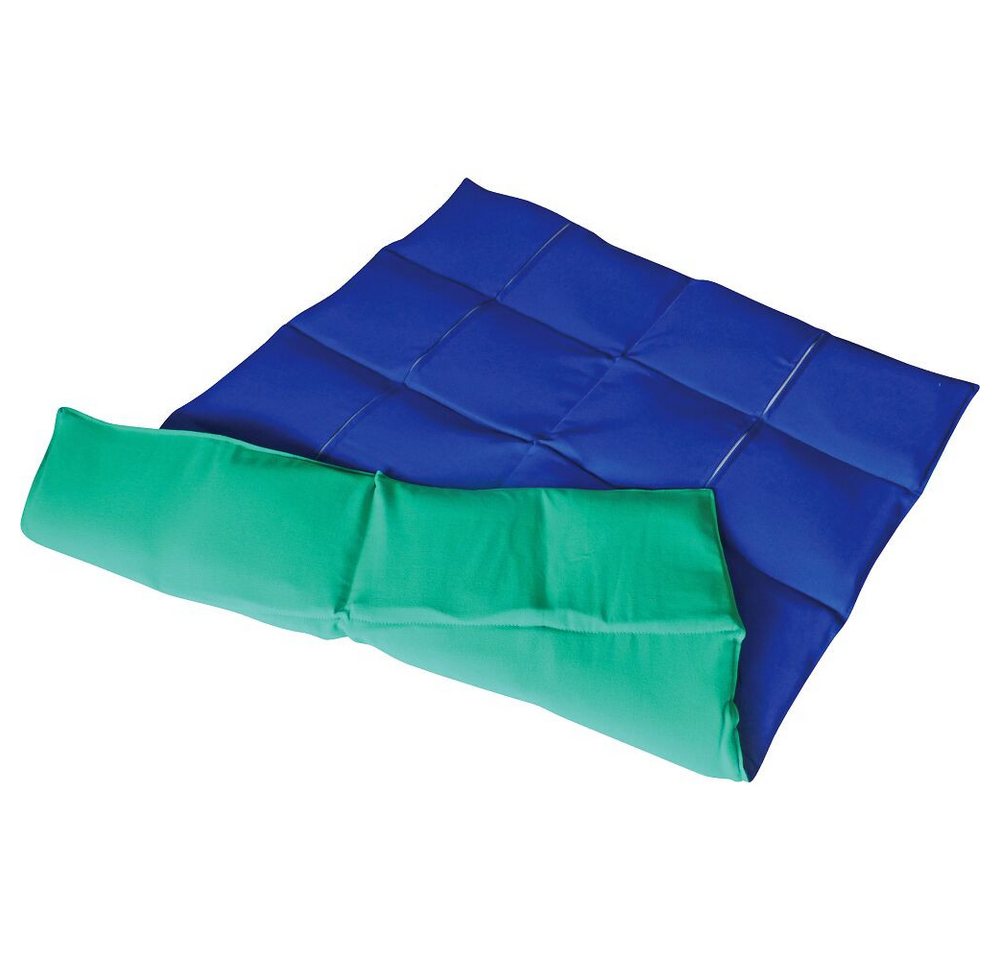 Enste Physioform Reha Lagerungskissen Gewichtsdecke, Mit einzeln ausgepolsterten Gewichtssäckchen Enste Physioform Reha Lagerungskissen Gewichtsdecke, Mit einzeln ausgepolsterten Gewichtssäckchen von Enste Physioform Reha