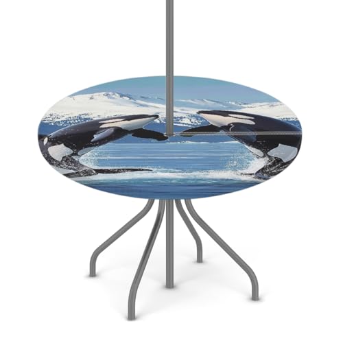 Entemne Outdoor-Tischdecke mit Schirmloch, niedliche Orcas-Springkunst, runde Tischdecke mit elastischem Rand, 91,4–111,8 cm, wasserdicht, mit Reißverschluss, Terrassentischabdeckung für Picknick Entemne Outdoor-Tischdecke mit Schirmloch, niedliche Orcas-Springkunst, runde Tischdecke mit elastischem Rand, 91,4–111,8 cm, wasserdicht, mit Reißverschluss, Terrassentischabdeckung für Picknick von Entemne
