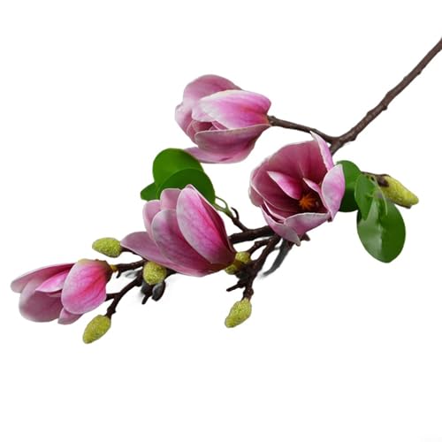 Entgoinggo Künstliche Magnolien-Blumen, dunkelviolett, Kunstblumen aus PU-Folie, dekorative Kunstblumen, Hochzeitsdekoration, Kunstblumen (hellviolett) von Entgoinggo