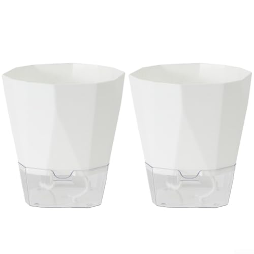 Selbstbewässernde Pflanzgefäße mit integrierter Wasseraufbewahrungsbox und Absorptionsseil, geeignet für Zuhause und Terrasse, mittlere Größe, 8 Stück von Entgoinggo