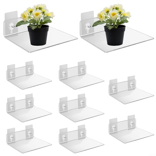 Transparentes L-förmiges Acryl-Regal für Schmuck und Badezimmerutensilien, 5 oder 10 Stück, abriebfestes Set (10 Stück) von Entgoinggo