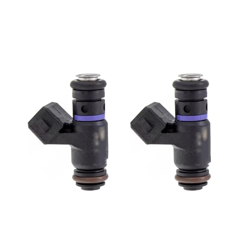 Einspritzdüsen Set Von 2 Stück Kraftstoff Injektoren 2521718 Für Polaris RZR XP4 TURBO XP 2017-2020 TURBO 4 2019-2020 Benzindüsen von Eofooq