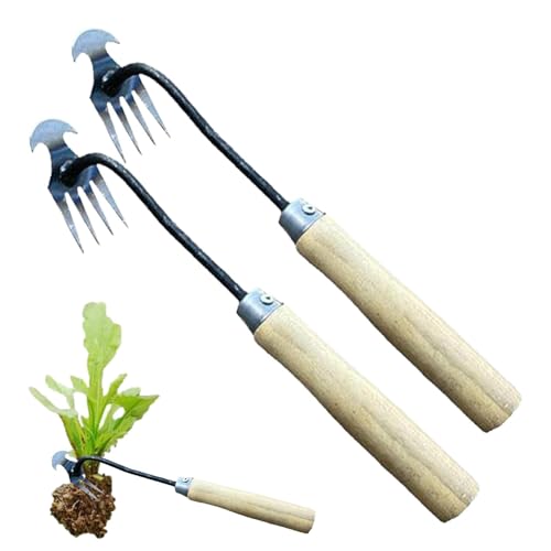 Eoixuqba 2 Stk Unkrautjätegerät Mit Langem Stiel - 4-Zahn Gartenarbeit Hand Unkrautstecher, 29 * 3,5 Cm Garten Unkraut Harke, Unkrautstecher Wolf Garten, Für Hof, Rasen, Bauernhof, von Eoixuqba