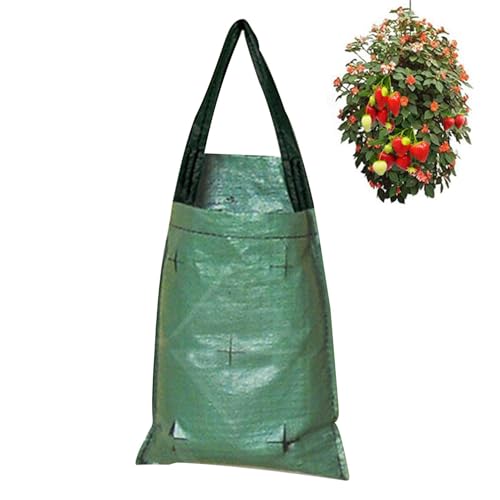 Eoixuqba 5 Stück Pflanzsäcke Zum Hängen Mit Henkeln - 53 * 23 cm Pflanzsack Hängend Mit 5 Löchern, Hängende Erdbeeren Pflanzbeutel, Atmungsaktive, Für Tomaten- Und Erdbeer-Pflanzbehälter von Eoixuqba