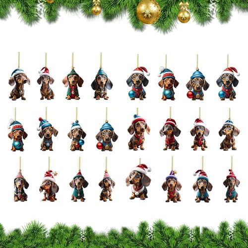 Eoixuqba Weihnachts-Dackel-Ornament-Kalender, Acryl, 2D-Weihnachtsdekoration, Heimdekoration für Büros, Schlafsaal, Klassenzimmer, Wohnung Eoixuqba Weihnachts-Dackel-Ornament-Kalender, Acryl, 2D-Weihnachtsdekoration, Heimdekoration für Büros, Schlafsaal, Klassenzimmer, Wohnung von Eoixuqba