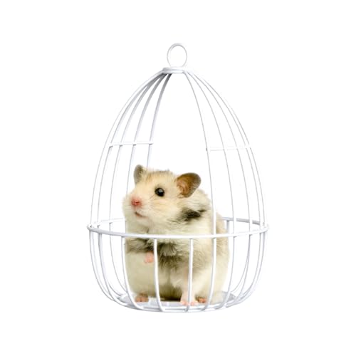 Eojpdji Hamster Hängematte | Eisendrahtgitter Hamster Spielzeug - Schlafhaus Nest Schaukel Verstecken Spielen Kleintier Zubehör Für Kleintiere Eojpdji Hamster Hängematte | Eisendrahtgitter Hamster Spielzeug - Schlafhaus Nest Schaukel Verstecken Spielen Kleintier Zubehör Für Kleintiere von Eojpdji
