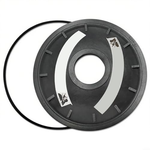 154575 8-1/2 Zoll Verschluss Ersatz für Triton Pool Spa Fiberglas Sandfilter TR100C TR140C mit O-Ring Einfache Installation werkzeugloses Design von EpheyFIF