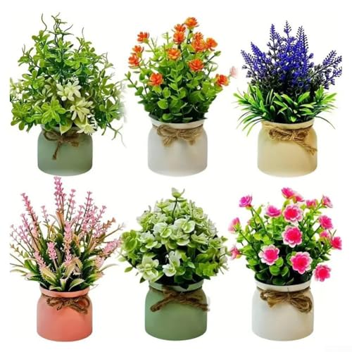 Set mit 6 bunten Kunstpflanzen für Regal und Tischdekoration, keine Wartung erforderlich (6 Töpfe - 2) von EpheyFIF