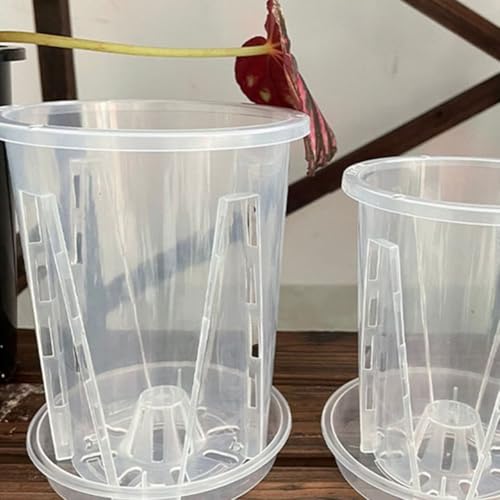 Transparente Blumentöpfe mit Drainage und Tabletts, fördert gesunde Wurzeln für verschiedene Orchideenarten (14 cm), 5 Stück von EpheyFIF