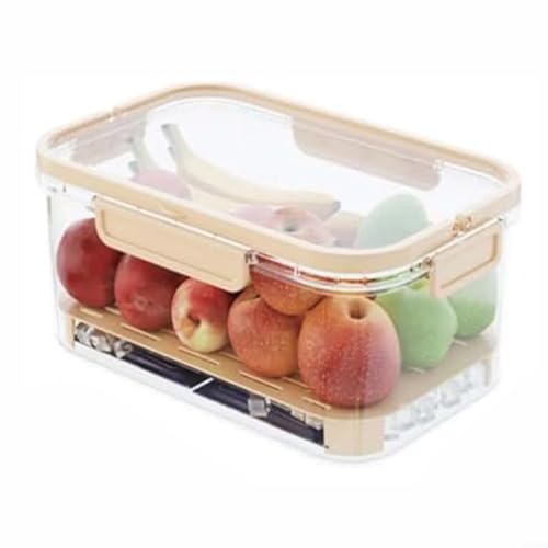 Transparente isolierte Picknickbox – 23 x 15 x 10 cm, tragbarer Lebensmittelbehälter mit Griffen (Kühler mit mehreren Fächern für Camping/Strand) von EpheyFIF