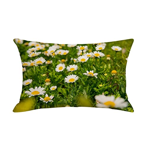 Epinki 30x50cm Kissenbezüge, 1Pcs Sitzkissen mit Gänseblümchen Muster in Leinen, für Zuhause Autos Wohnzimmer Schlafzimmer Sofa Dekoration, Leinen, Weiß Gelb Grün von Epinki