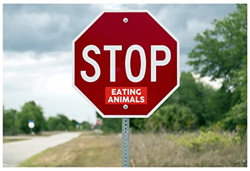 EppoBrand Vinyl-Aufkleber mit Aufschrift "Stop Eating Animals Vegans Animal Lover", 21,6 x 8,9 cm, 2 Stück von EppoBrand