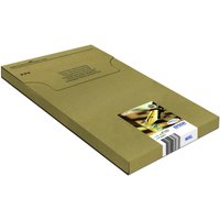 Epson Original Easy Mail Packing 16XL Füller Druckerpatronen 4er Multipack BK/C/M/Y (C13T16364511) von Epson