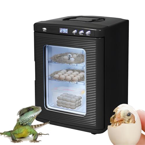 Brutkästen zum Ausbrüten von Eiern 25L Thermostat Box Temperature Controlled 41℉~140℉ Scientific Lab Breeding Egg Incubators for Hatching Eggs zum Ausbrüten Kleiner Reptilien Black von EpyGnom