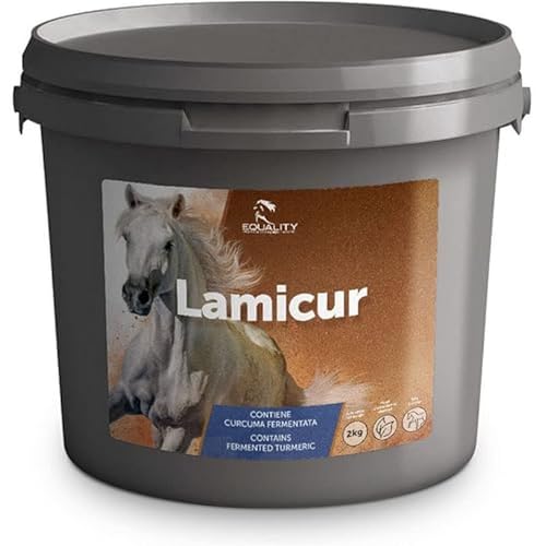 Equality LAMICUR Equality LAMICUR von Equality