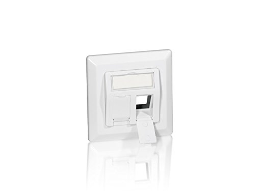 Equip RJ45 Dose Wandplatte für Unterputz Reinweiss 50 Polybeutel von Equip