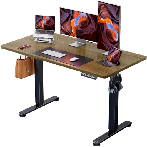 ErGear Elektrisch Höhenverstellbarer Schreibtisch 120 x 60 cm, Schreibtisch Höhenverstellbar mit 4-Gedächtnis-Smart-Pult für Home-Office mit Verbindungsplatte von ErGear