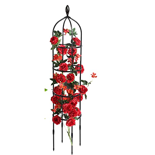 ErZhuiZi Rankturm, Garten Obelisk Rankgerüst Rosen Rankhilfe für Kletterpflanzen, Ranksäule,30x180cm von ErZhuiZi